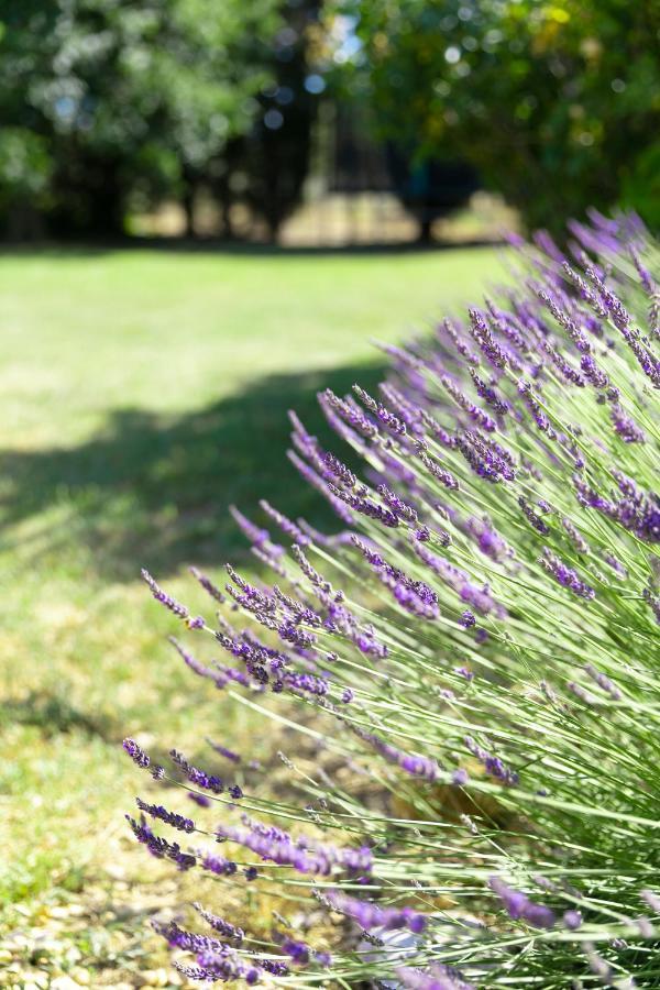 Villa Mas Coeur De Provence Calme Luxe Grand Parc Pernes-les-Fontaines Exterior foto